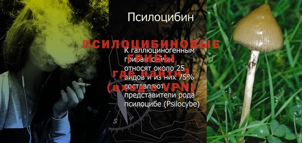 гашик Вязники