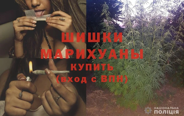 метадон Горняк
