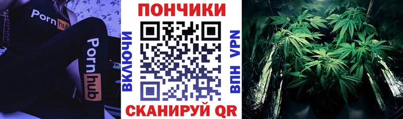 Шишки марихуана VHQ  МЕГА как зайти  Хасавюрт 